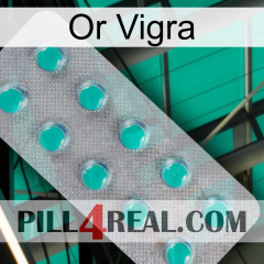 Gold Vigra 28
